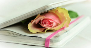 Cinque buoni motivi per leggere poesie