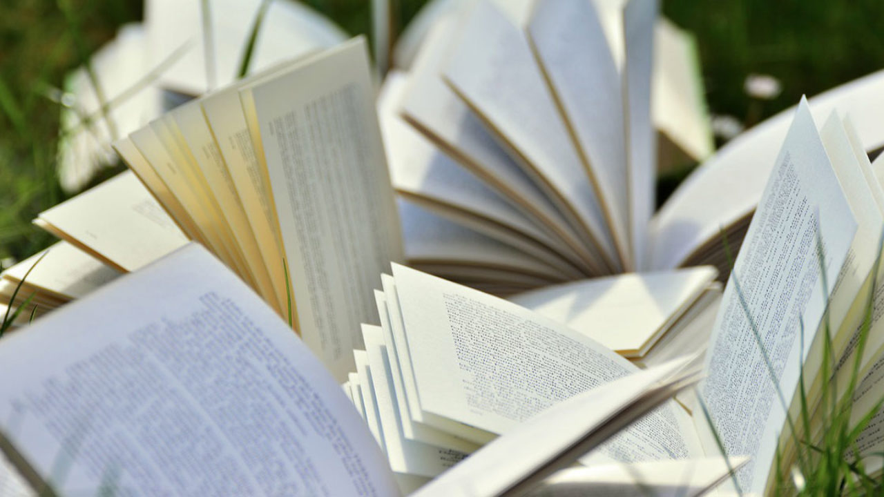 Frasi sui libri | Citazioni sulla lettura e sul mondo dei libri