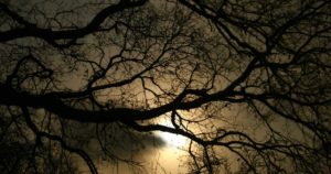 Annabel Lee, l’ultima poesia completa di Edgar Allan Poe