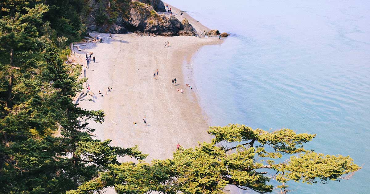 Libri da leggere ora, a luglio 2020