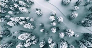 La pista: Anne Holt narra la prima indagine di Selma Falck