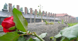 Poesie per il Giorno della memoria, per non dimenticare