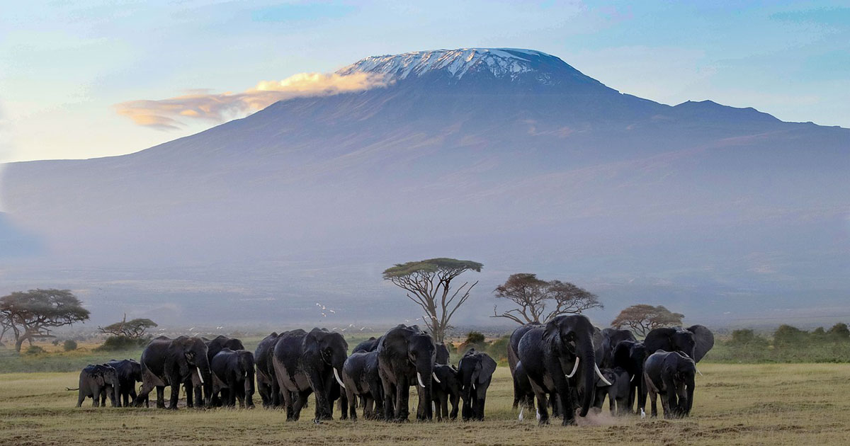 Romanzi ambientati in Africa