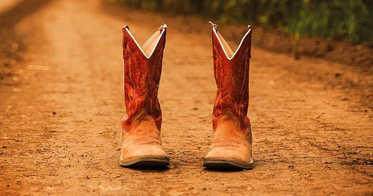 Cronache dal selvaggio West