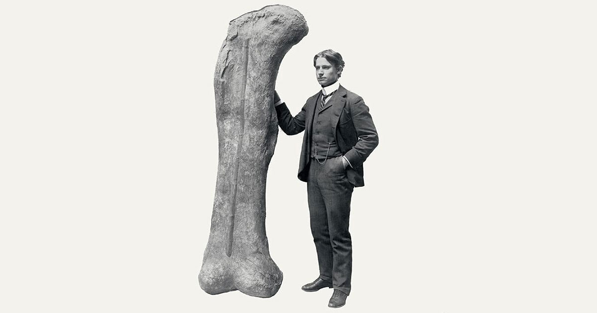 La storia della vita in 25 fossili