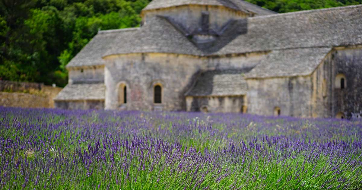 romanzi ambientati in Provenza
