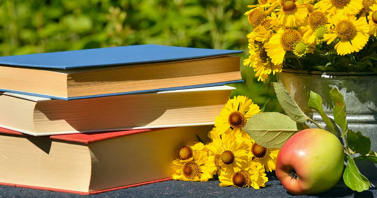 Cosa leggere in un pomeriggio di sole