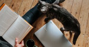 I migliori libri sugli animali per adulti