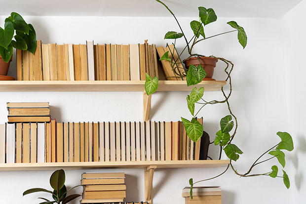 libreria da sogno