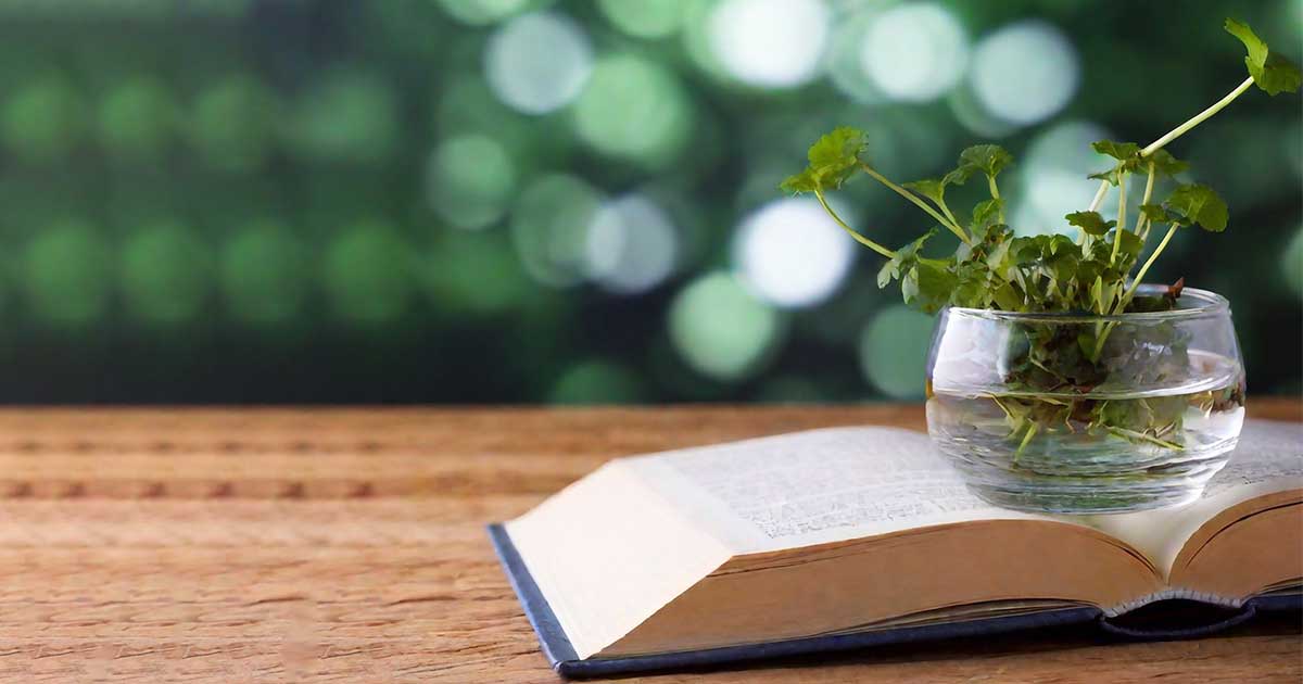 Giugno 2024 libri da leggere ora