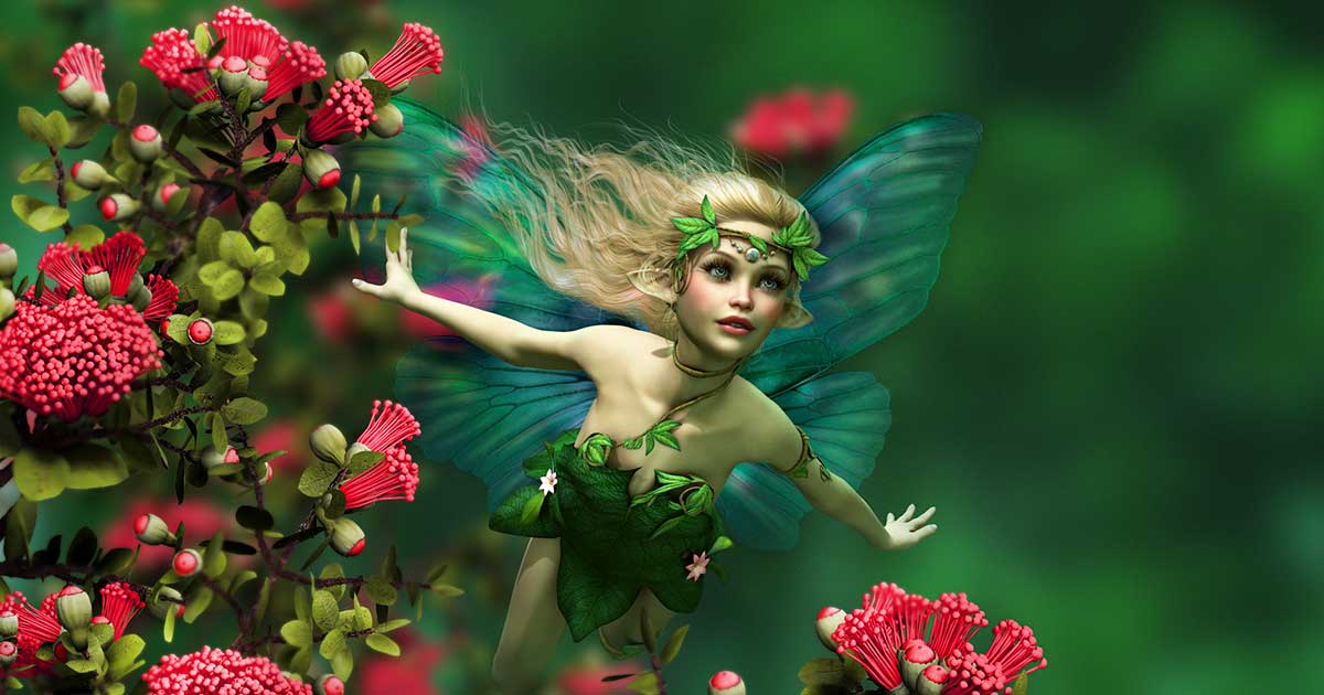 libri fantasy con fate