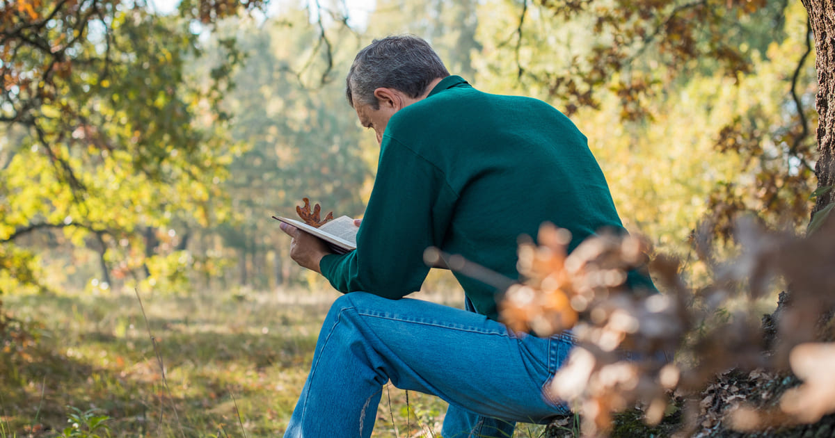 Persona che legge un libro seduta in un bosco autunnale - libri scelti per voi