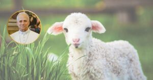 Le più belle frasi di Pasqua di papa Leone