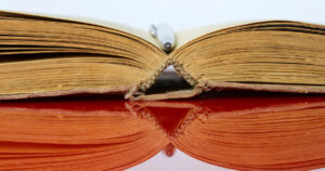 Il libro che racconta se stesso: 5 romanzi sul mondo dell’editoria da non perdere