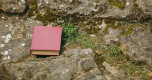 Luciana Notari, poetessa: un libro chiuso su rocce muschiose, simbolo di poesia e natura