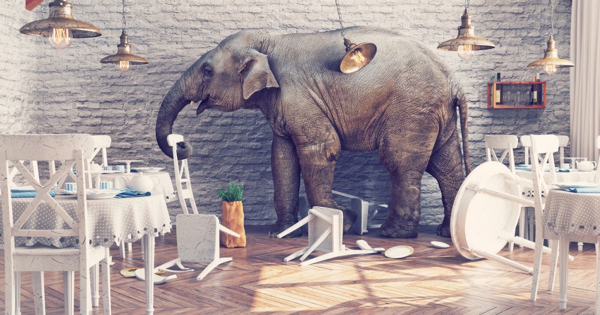 Elefante nella stanza tra i tavoli rovesciati di una sala da pranzo
